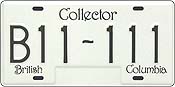 ICBC Collector Plate